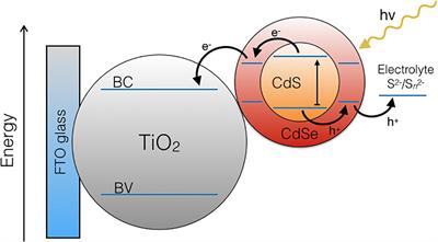 Biological Synthesis of CdS/CdSe Core/Shell Nanoparticles and Its Application in Quantum Dot Sensitized Solar Cells